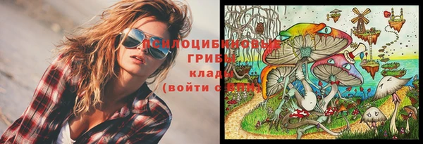 гидропоника Ачинск