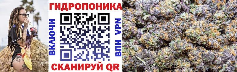 Конопля семена  цены наркотик  shop какой сайт  Вышний Волочёк 
